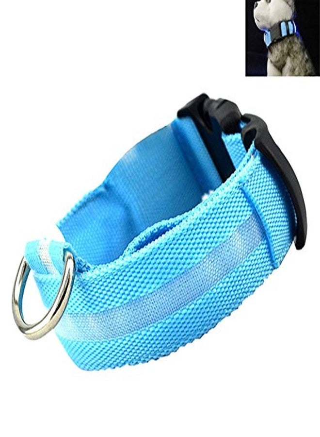 Futaba Nylon Pet Glow in Dark LED Collar Night Safety - Blue - Large - Image 3